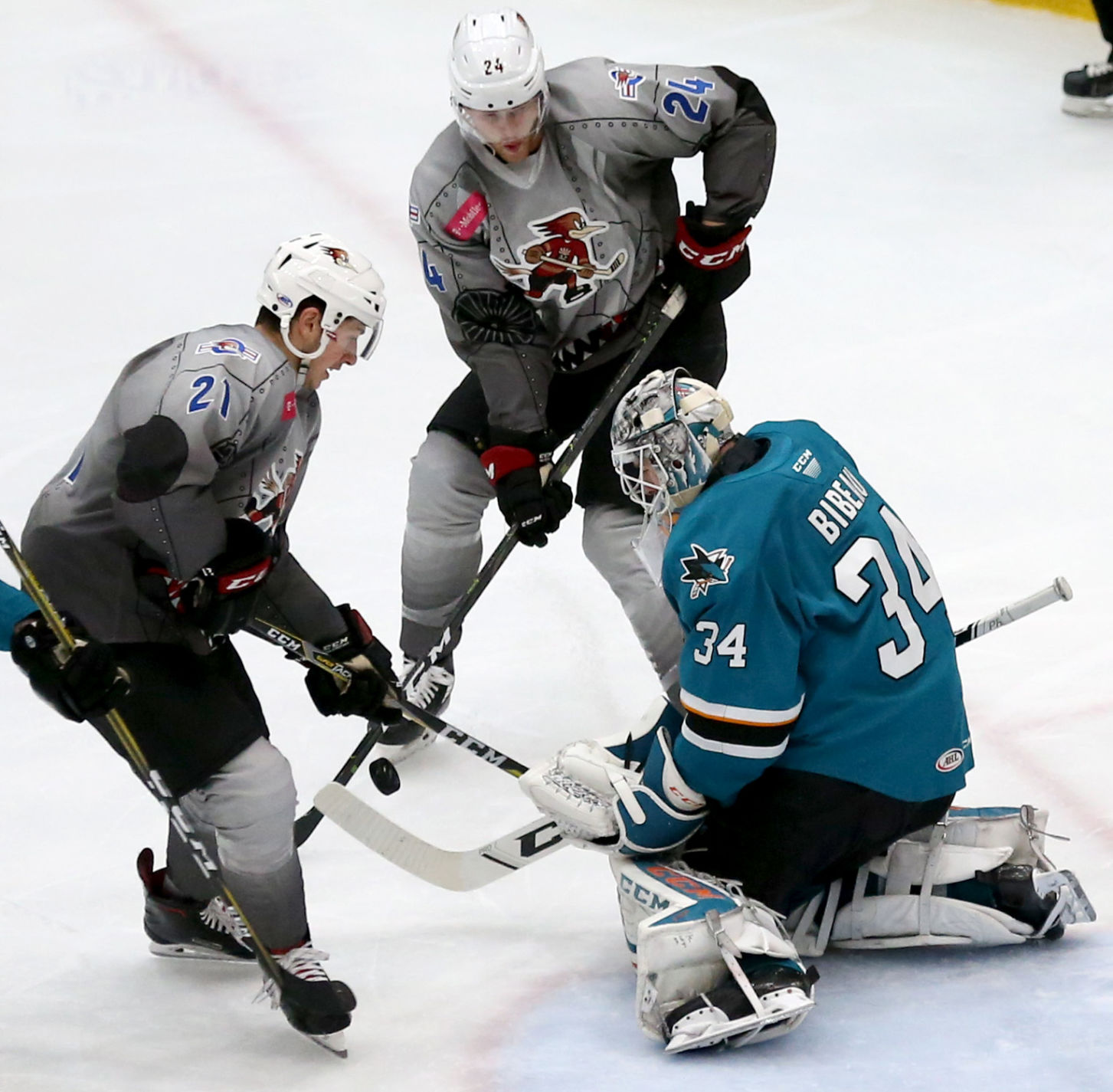 Roadrunners vs San Jose
